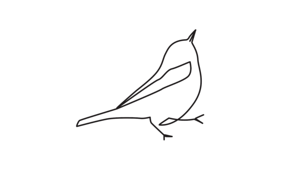 The Bird Continuous Line Art Animation: A Motion Graphics Study
